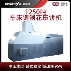 BM-12531恩派特1250噸車(chē)床銅刨花壓餅機(jī)