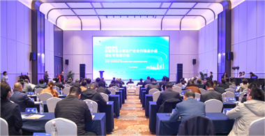 聚兩岸智造 筑產(chǎn)業(yè)高地—2025兩岸企業(yè)家峰會(huì)年會(huì)智能裝備組專題活動(dòng)成功舉辦