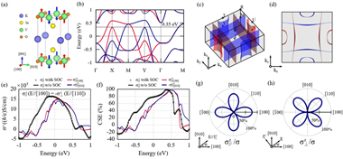 金屬所發(fā)現(xiàn)交變磁體中平坦費(fèi)米面激發(fā)電荷流-自旋流轉(zhuǎn)化量子極限