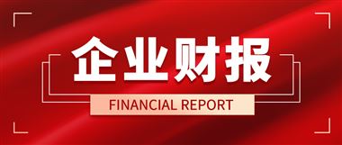 伟创电气2026年上半年净利润1.1亿元，同比下降21.76%